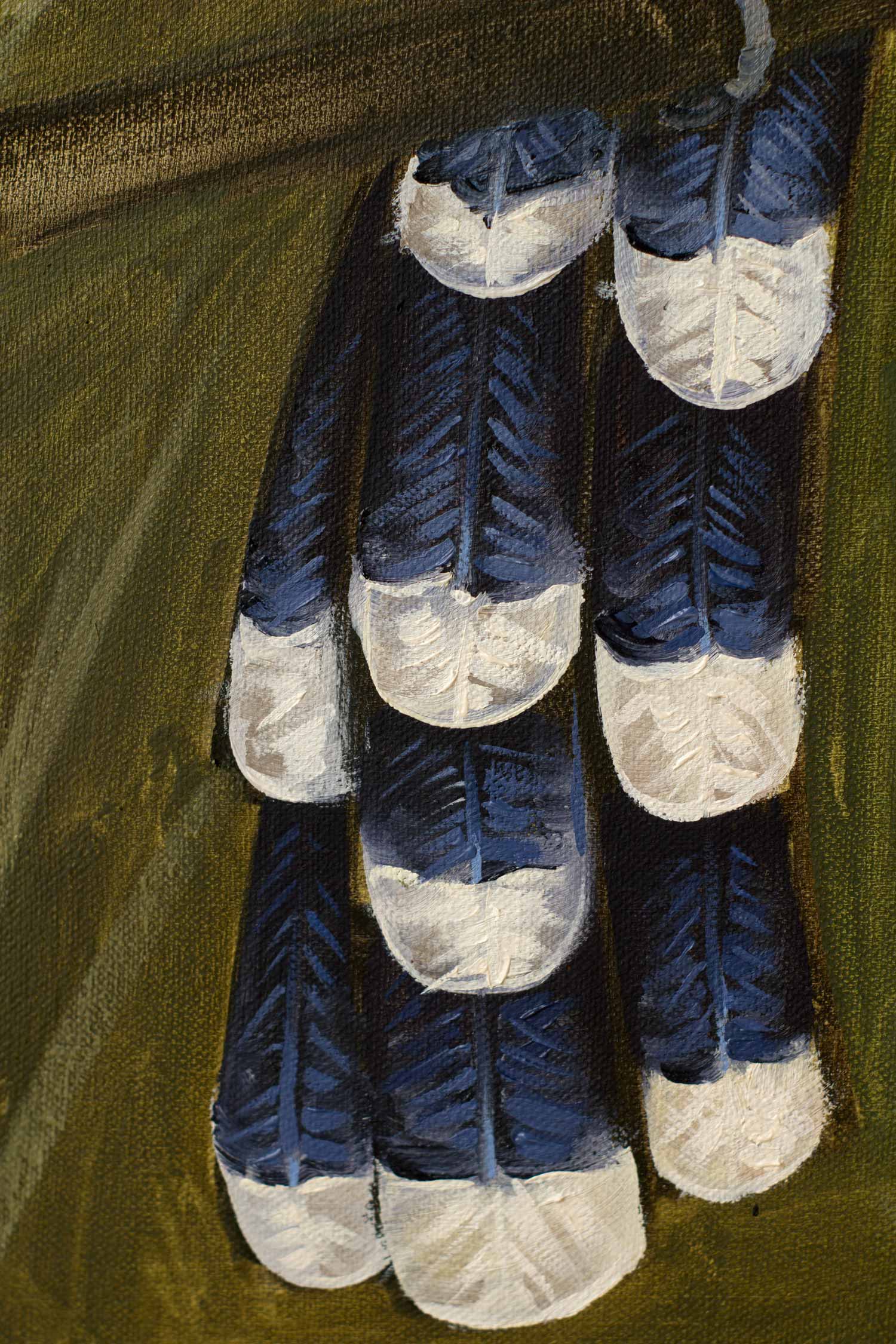 Close-up of the Bay-breasted Cuckoo's long black-and-white tail feathers hanging beneath the branch.