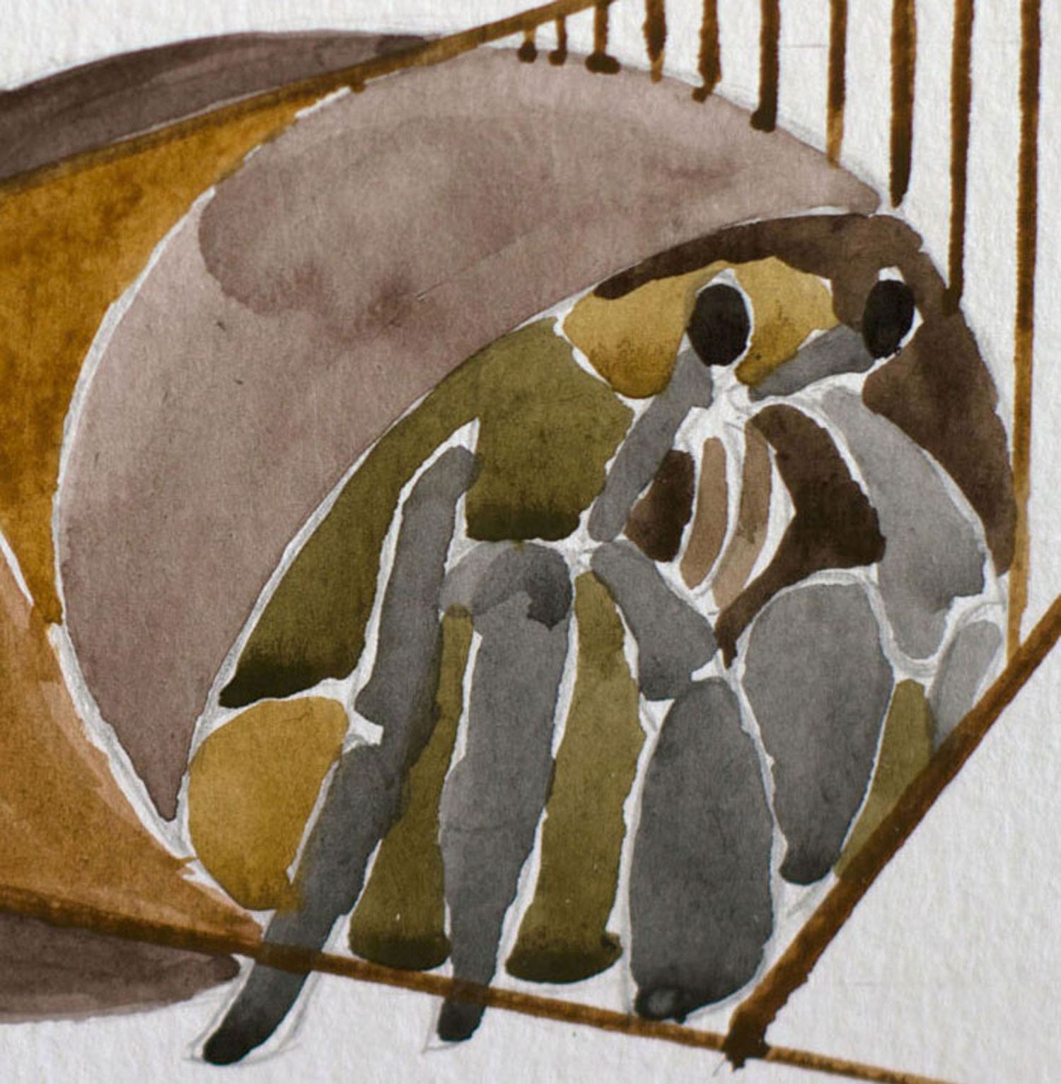 Close-up detail of an original abstract watercolor painting featuring the segmented spiral shell of a hermit crab painted with layered ochre and sepia watercolor washes and minimalist linear structure.