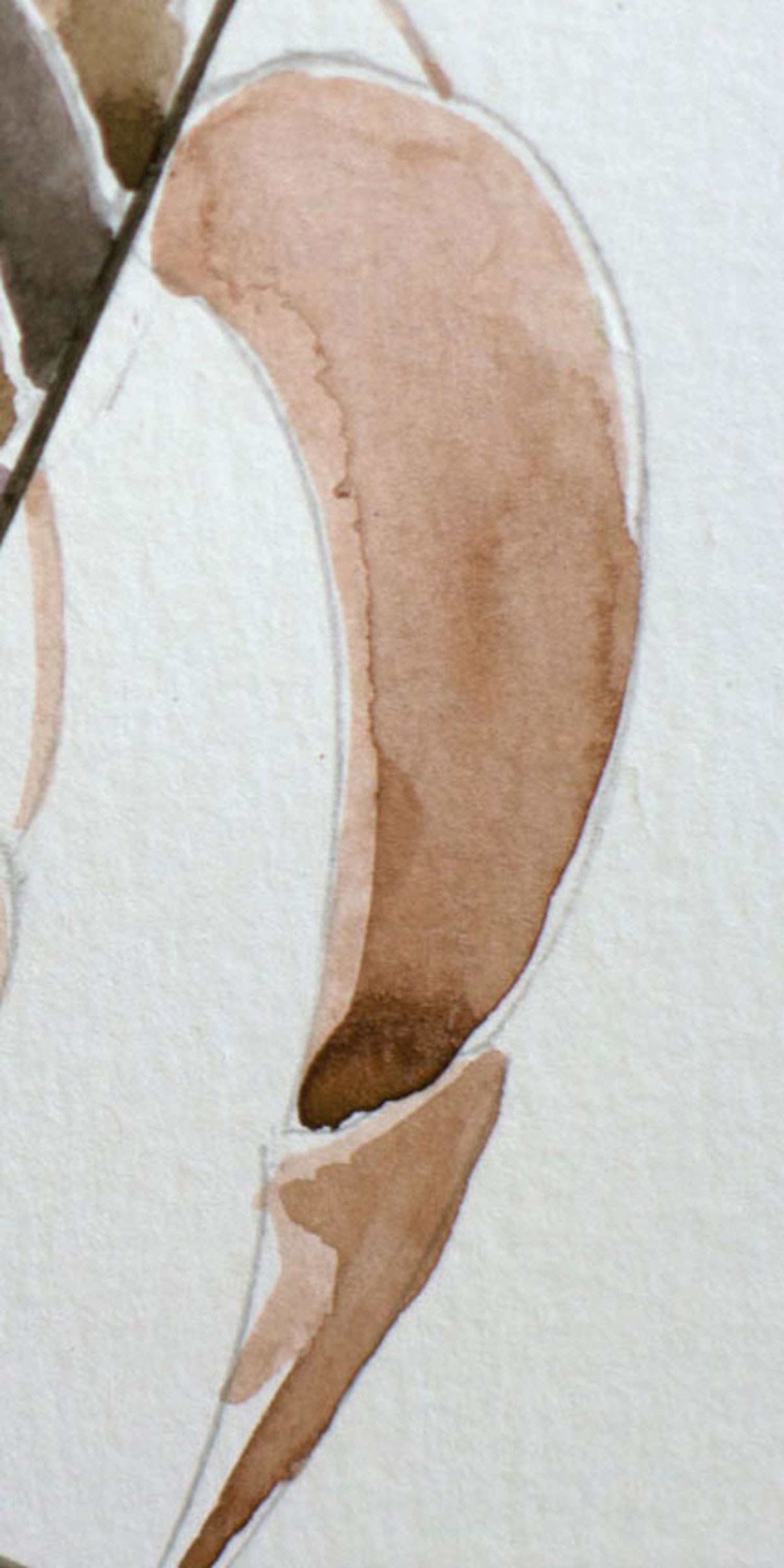 Close-up watercolor detail of a simplified crab claw painted in soft earth-tone washes.