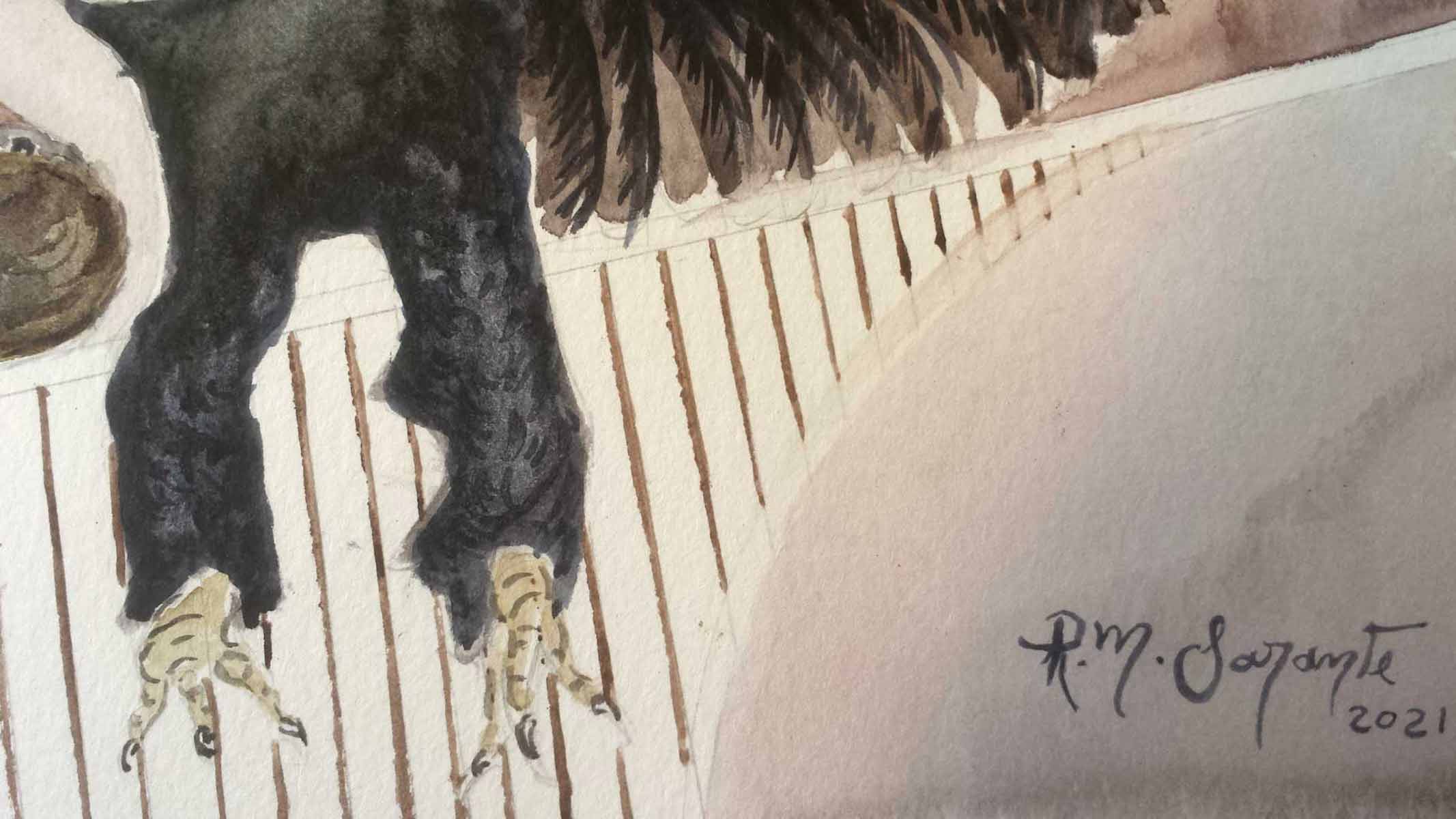 Close-up detail showing the rooster's legs and talons positioned over linear geometric patterns, accompanied by the artist's signature integrated into the lower corner of the watercolor composition.