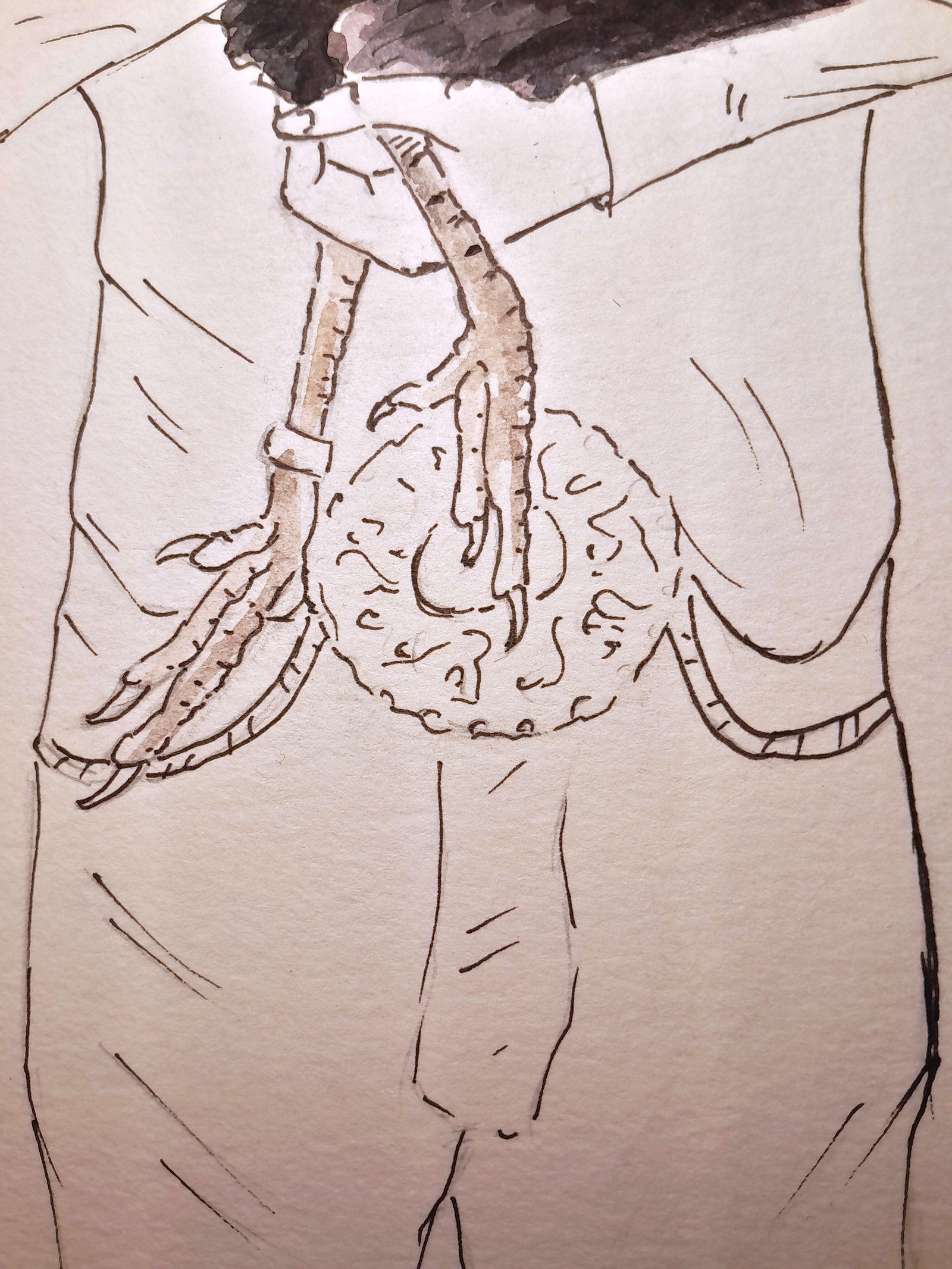 Close-up of the rooster’s long legs and feet hanging below the woman’s arms, rendered primarily in technical pen with subtle brown watercolor washes.