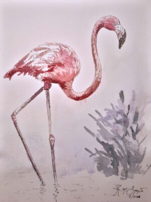 Watercolor and technical pen painting of a pink flamingo standing in shallow water on long slender legs, with its curved neck raised and abstract aquatic vegetation painted beside it.