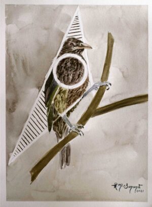 Original watercolor painting of a Palmchat (Dulus dominicus), the national bird of the Dominican Republic, perched on a branch within a contemporary geometric composition. Transparent watercolor washes, earthy plumage, and minimalist abstract forms combine wildlife observation with modern design.