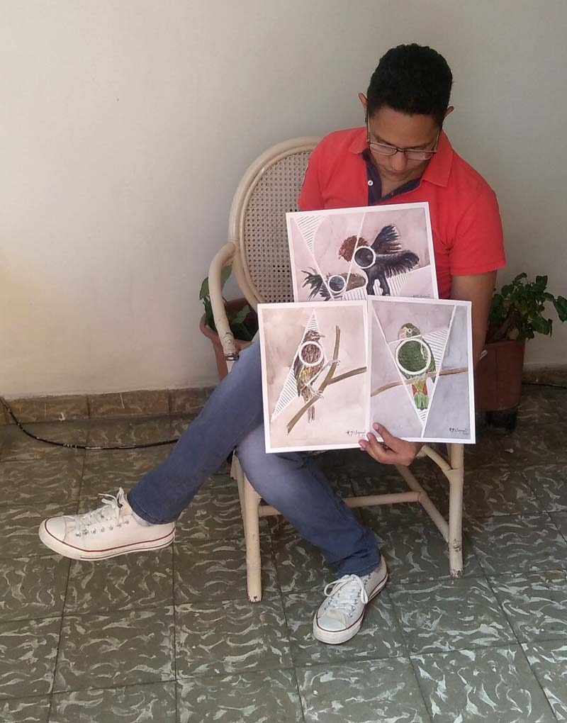 Original watercolor of hispaniolan endemic birds displayed as framed wall art in a contemporary interior, illustrating how the minimalist geometric composition complements modern residential décor.